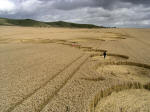 Below Milk Hill, Wiltshire crop circle, aerial photo 12