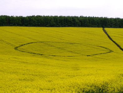 Ashdown House, Oxfordshire crop circle, aerial photo 2