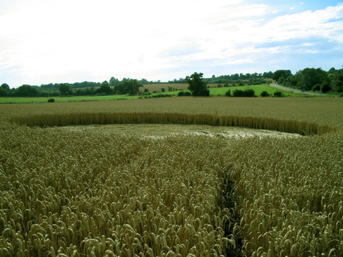 Barsham, Suffolk crop circle, aerial photo 11