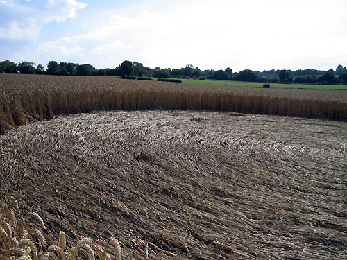 Barsham, Suffolk crop circle, aerial photo 13