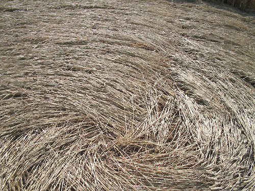 Barsham, Suffolk crop circle, aerial photo 15