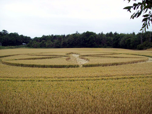 Buckland, Oxfordshire crop circle, aerial photo 8