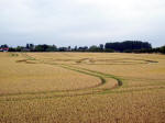 Buckland, Oxfordshire crop circle, aerial photo 14