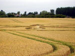 Buckland, Oxfordshire crop circle, aerial photo 13