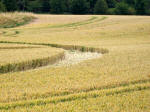 Buckland, Oxfordshire crop circle, aerial photo 16