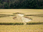 Buckland, Oxfordshire crop circle, aerial photo 12