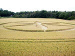 Buckland, Oxfordshire crop circle, aerial photo 17