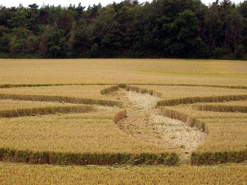 Buckland, Oxfordshire crop circle, aerial photo 10
