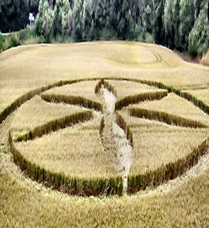 Buckland, Oxfordshire crop circle, aerial photo 9