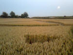 Buckland, Oxfordshire crop circle, aerial photo 26