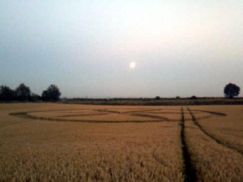Buckland, Oxfordshire crop circle, aerial photo 24