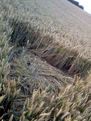 Buckland, Oxfordshire crop circle, aerial photo 31