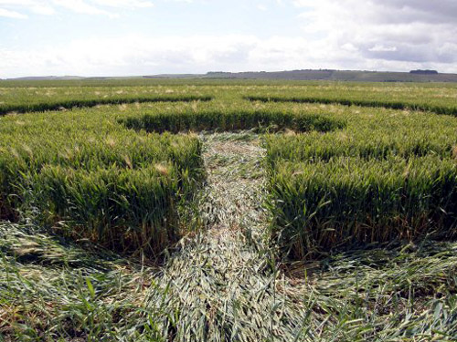 Burderop, Wiltshire crop circle, aerial photo 3