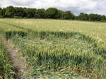 Burderop, Wiltshire crop circle, aerial photo 6