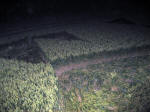 Charlbury Hill, Oxfordshire crop circle, aerial photo 11