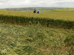 Charlbury Hill, Oxfordshire crop circle, aerial photo 18