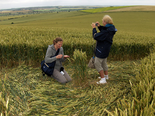 Charlbury Hill, Oxfordshire crop circle, aerial photo 13