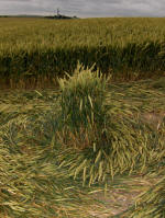 Charlbury Hill, Oxfordshire crop circle, aerial photo 14