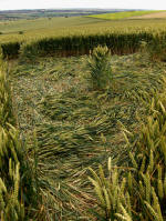 Charlbury Hill, Oxfordshire crop circle, aerial photo 23
