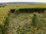 Charlbury Hill, Oxfordshire crop circle, aerial photo 24