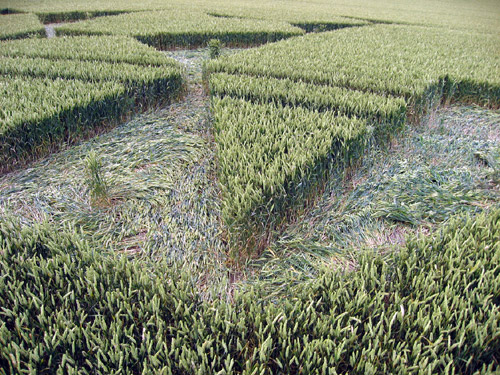 Charlbury Hill, Oxfordshire crop circle, aerial photo 12