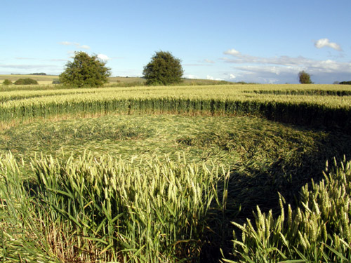 Chiseldon, Wiltshire crop circle, aerial photo 5