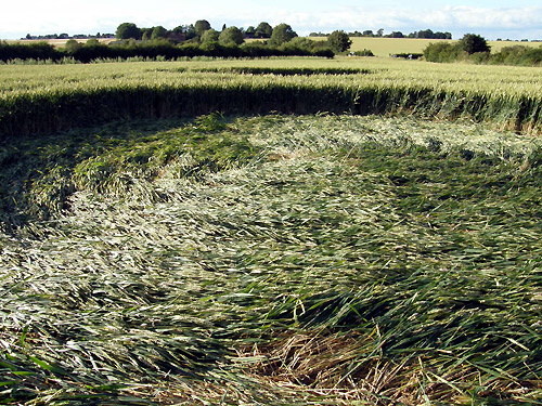 Chiseldon, Wiltshire crop circle, aerial photo 6