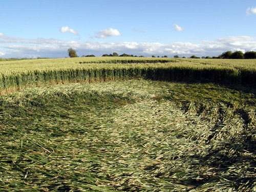 Chiseldon, Wiltshire crop circle, aerial photo 10