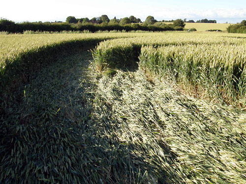 Chiseldon, Wiltshire crop circle, aerial photo 7