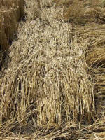 Etchilhampton Hill, Wiltshire crop circle, aerial photo 32