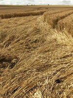 Etchilhampton Hill, Wiltshire crop circle, aerial photo 29