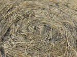 Etchilhampton Hill, Wiltshire crop circle, aerial photo 37
