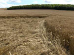 Etchilhampton Hill, Wiltshire crop circle, aerial photo 40
