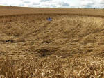 Etchilhampton Hill, Wiltshire crop circle, aerial photo 36