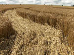 Etchilhampton Hill, Wiltshire crop circle, aerial photo 34