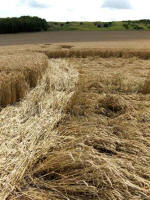 Etchilhampton Hill, Wiltshire crop circle, aerial photo 30