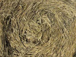 Etchilhampton Hill, Wiltshire crop circle, aerial photo 39