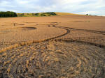Etchilhampton Hill, Wiltshire crop circle, aerial photo 8