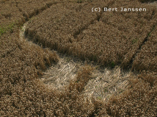 Etchilhamptonl, Wiltshire crop circle, aerial photo 6
