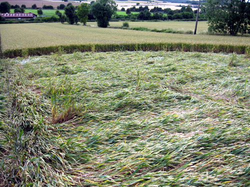 Callow Hill, Buckinghamshire crop circle, aerial photo 4
