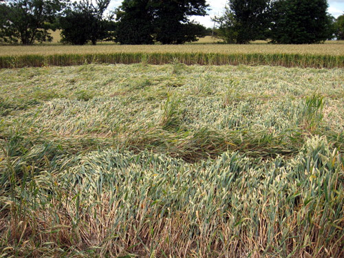 Callow Hill, Buckinghamshire crop circle, aerial photo 5