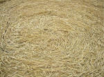 Watchfield Wind Farm, Oxfordshire crop circle, aerial photo 44