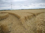 Watchfield Wind Farm, Oxfordshire crop circle, aerial photo 25