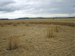 Watchfield Wind Farm, Oxfordshire crop circle, aerial photo 27