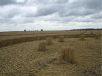 Watchfield Wind Farm, Oxfordshire crop circle, aerial photo 47