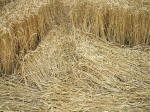 Watchfield Wind Farm, Oxfordshire crop circle, aerial photo 38