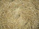 Watchfield Wind Farm, Oxfordshire crop circle, aerial photo 35