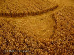 West End Road, Wiltshire crop circle, aerial photo 6