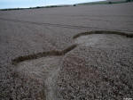 West End Road, Wiltshire crop circle, aerial photo 10