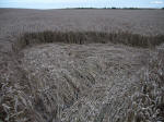 West End Road, Wiltshire crop circle, aerial photo 13